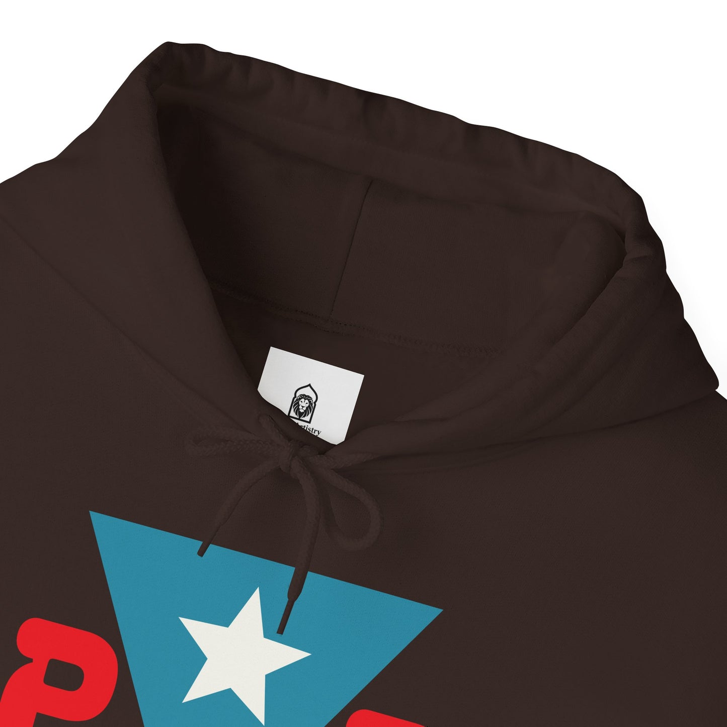 Puerto Rican Muslim Hoodie – Taino Blood, Muslim Heart