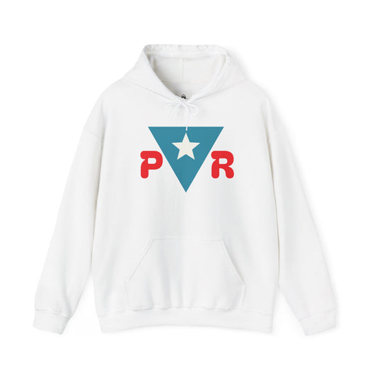 Puerto Rican Muslim Hoodie – Taino Blood, Muslim Heart