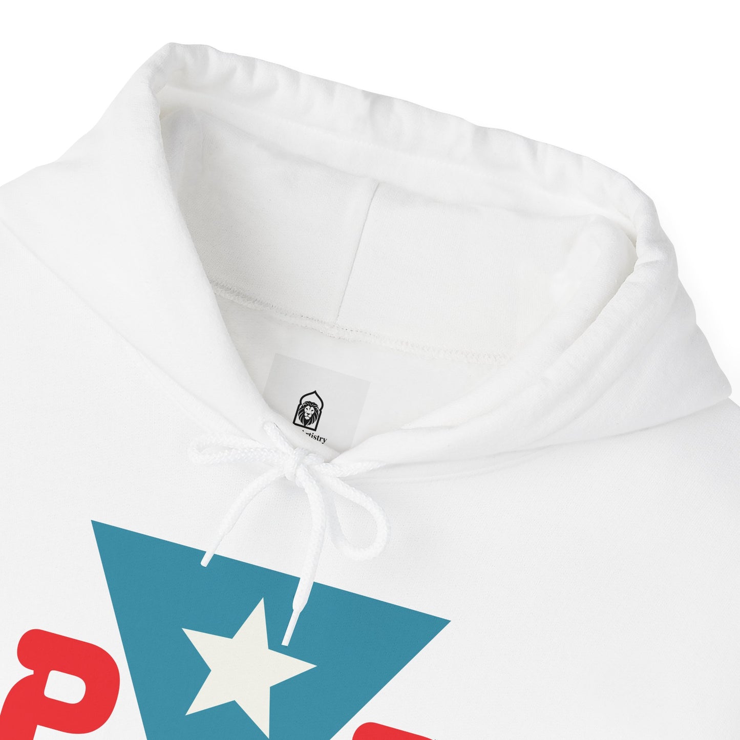 Puerto Rican Muslim Hoodie – Taino Blood, Muslim Heart