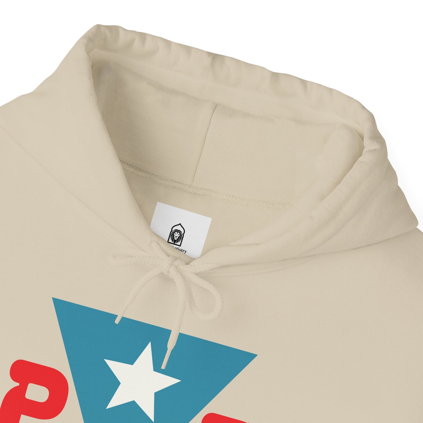 Puerto Rican Muslim Hoodie – Taino Blood, Muslim Heart