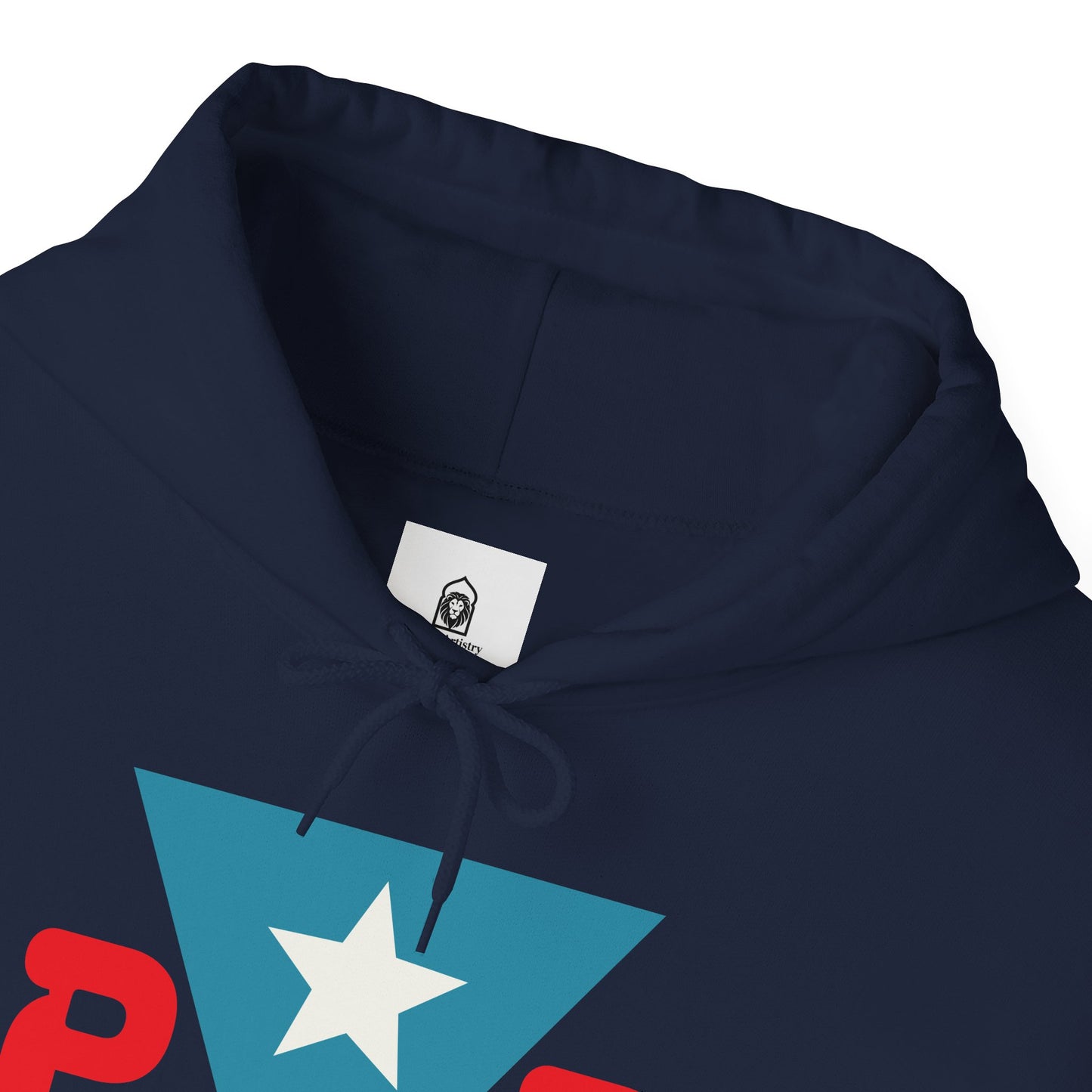 Puerto Rican Muslim Hoodie – Taino Blood, Muslim Heart