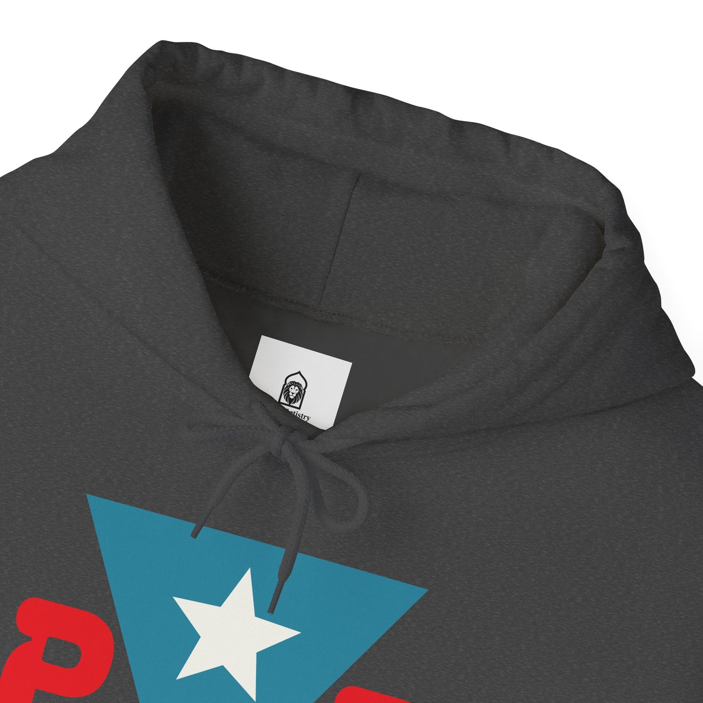 Puerto Rican Muslim Hoodie – Taino Blood, Muslim Heart